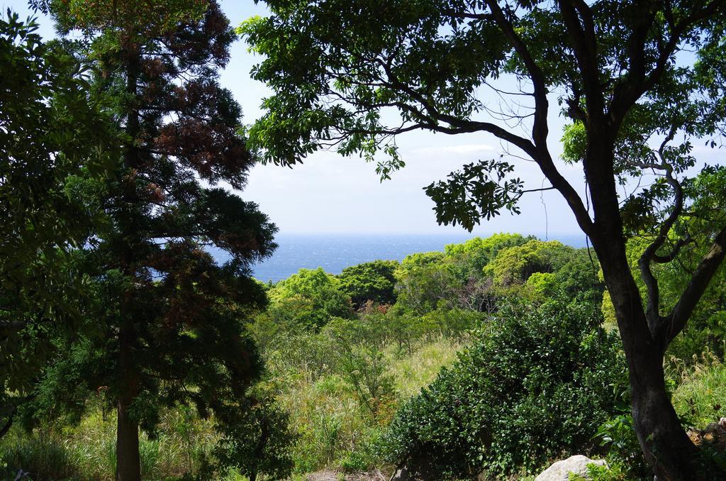 Cottage Views 屋久岛町 外观 照片