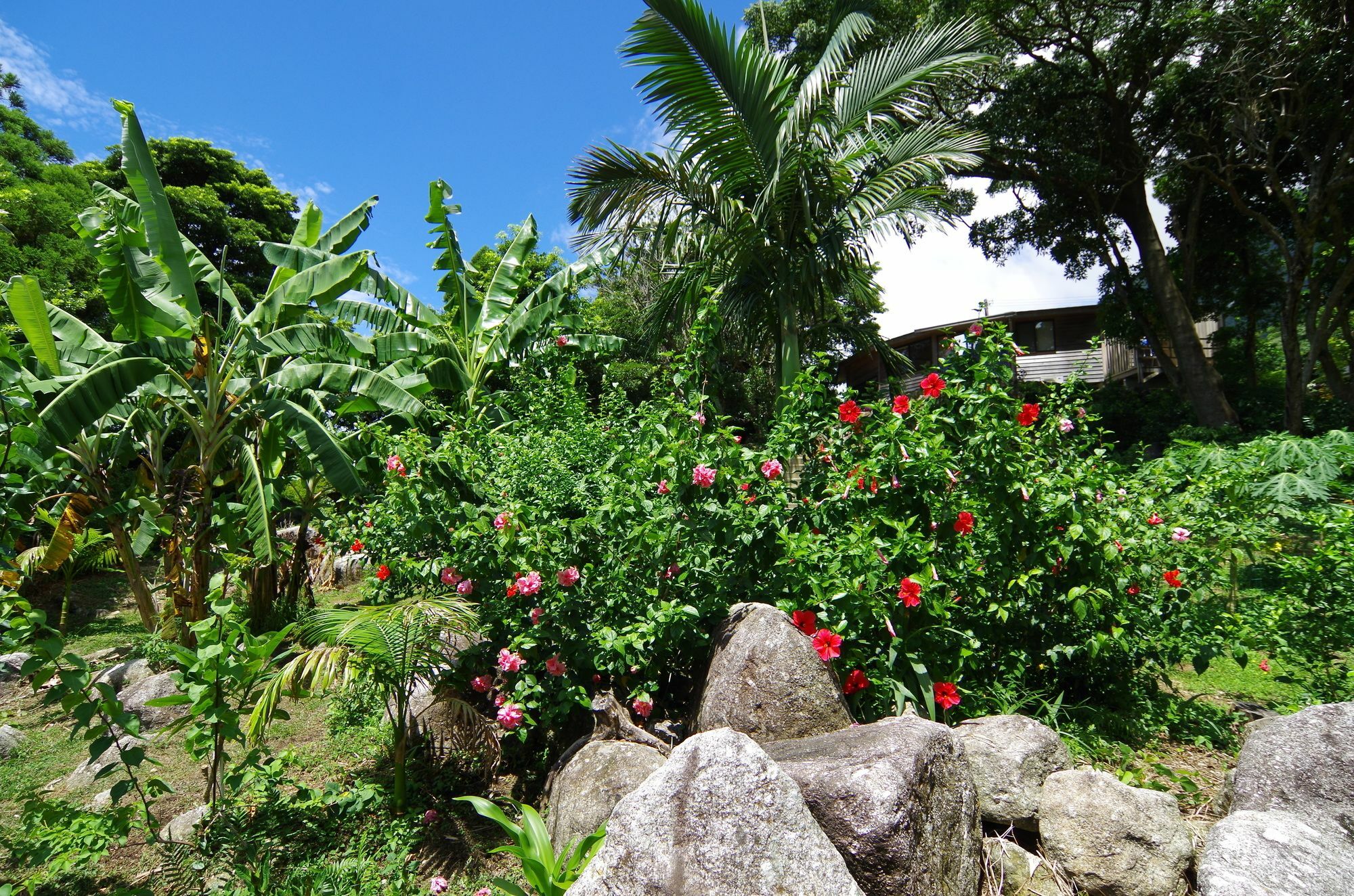 Cottage Views 屋久岛町 外观 照片